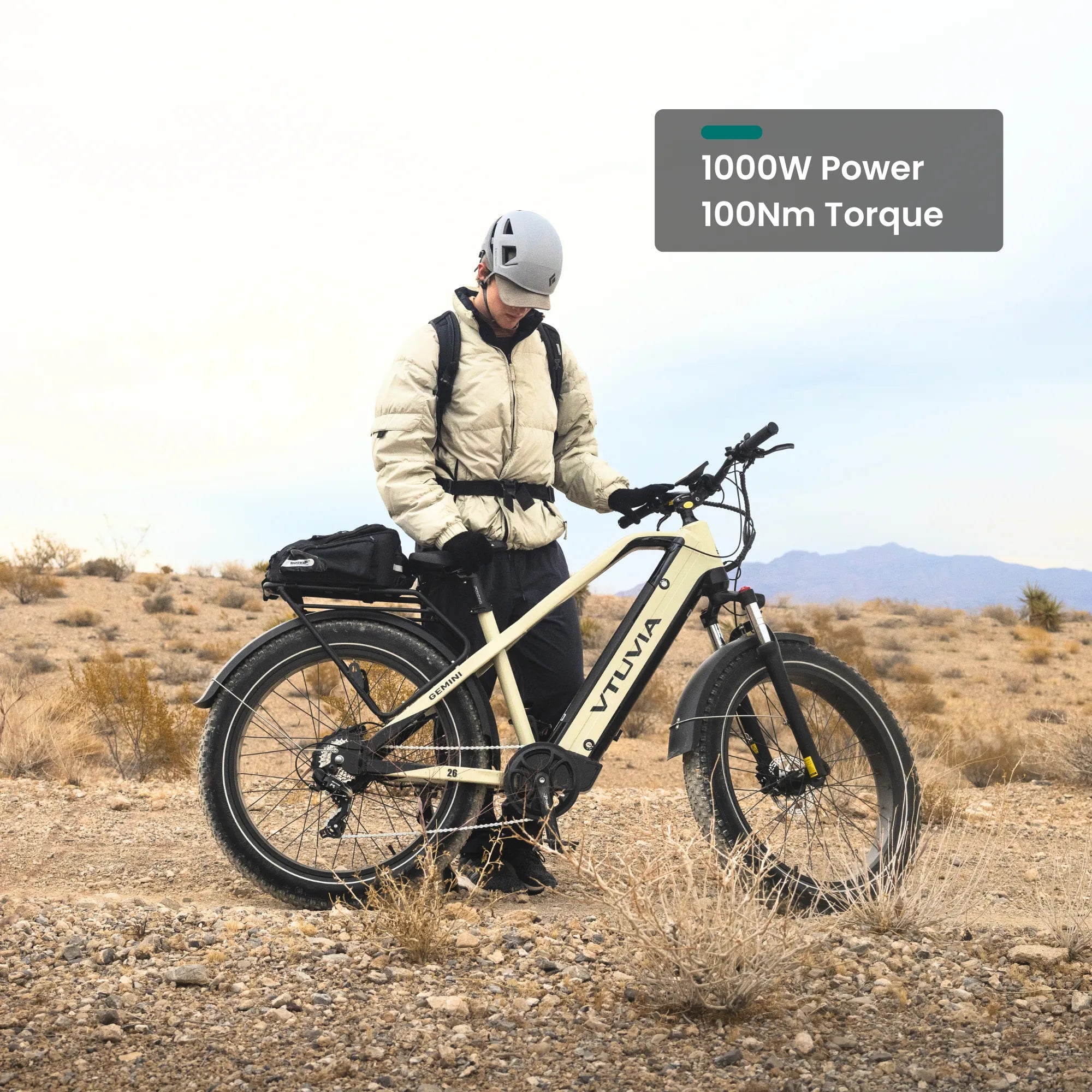 Gemini 1000W electric mountain bike with powerful performance