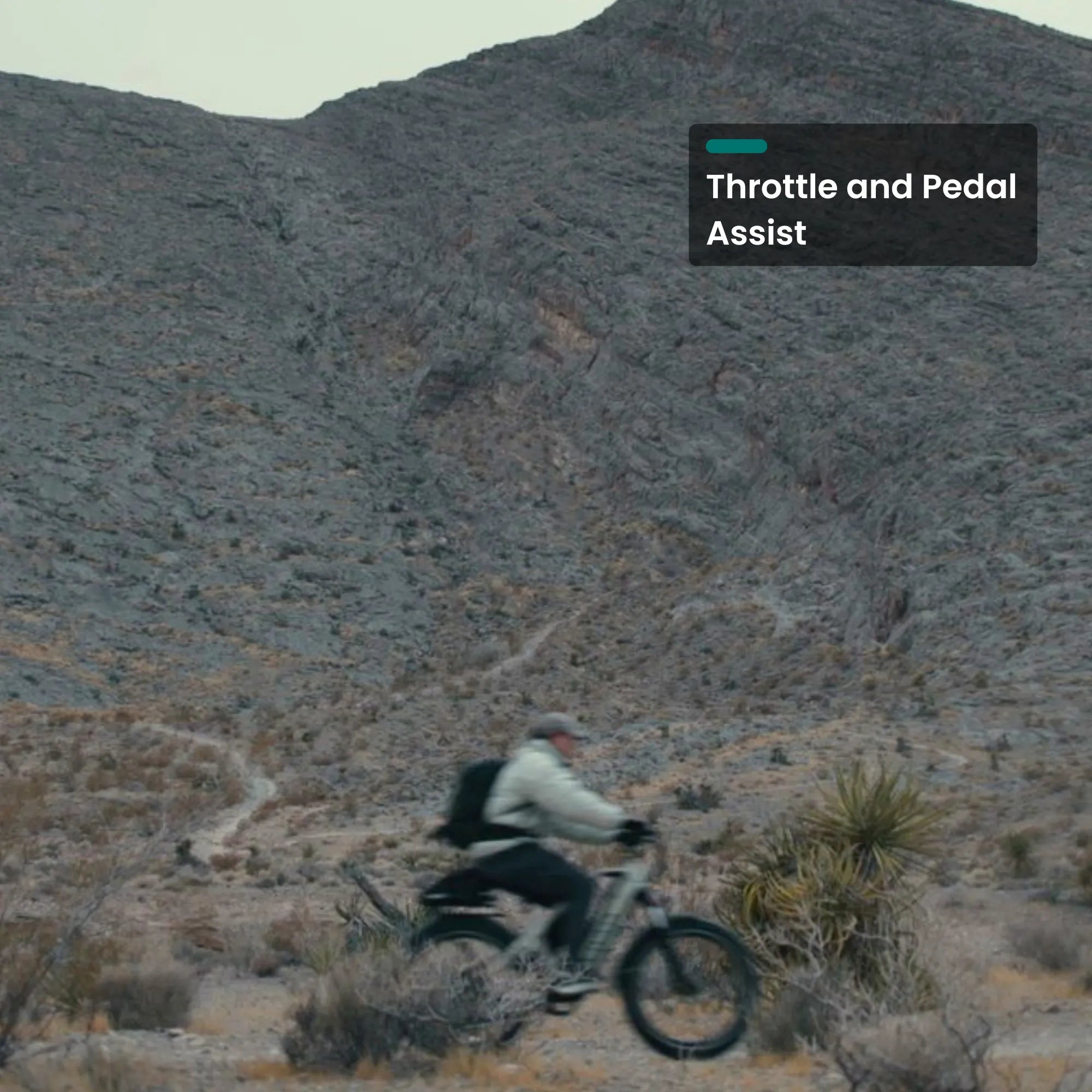 High power Gemini 1000W e-bike for adventure and off-road riding