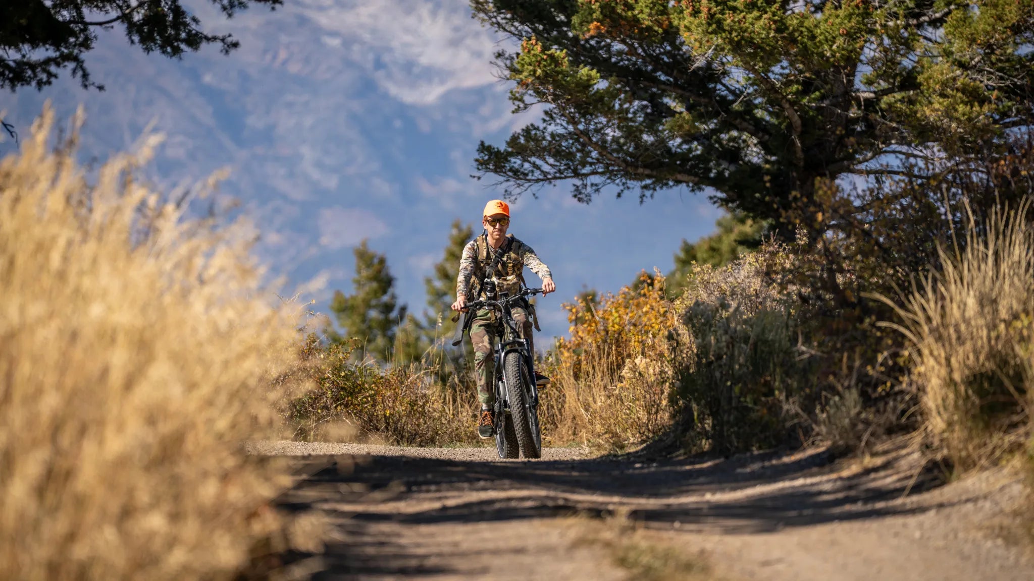 Electric Hunting Bike Peak 1200W Motor