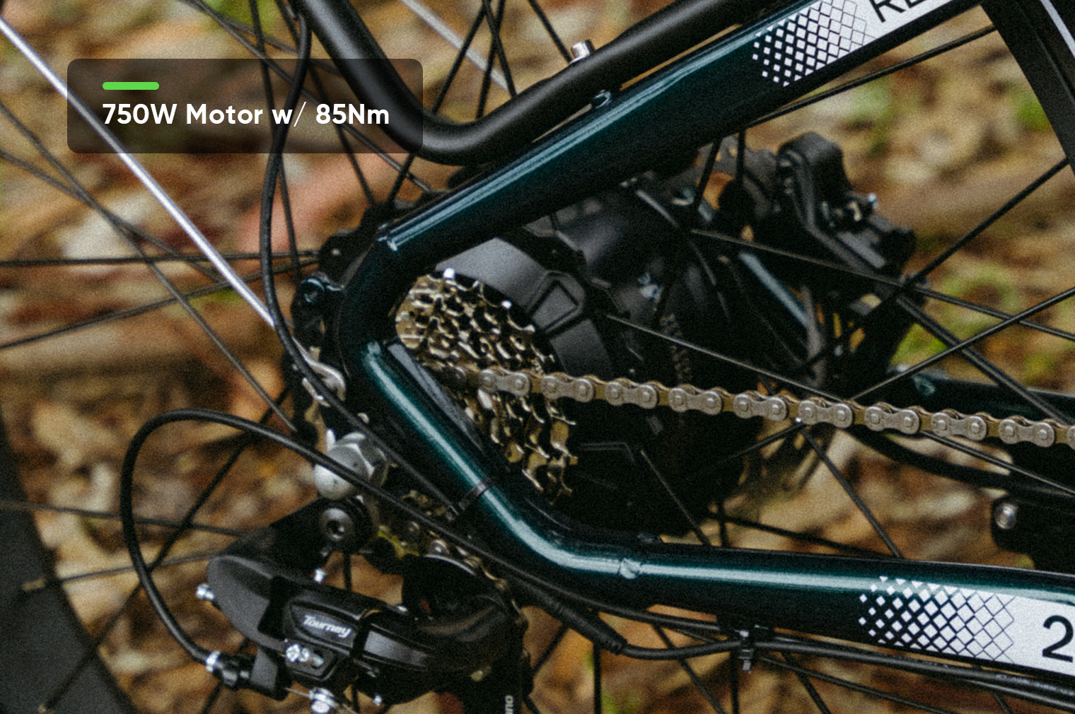 750W Step-Thru Fat Tire Ebike