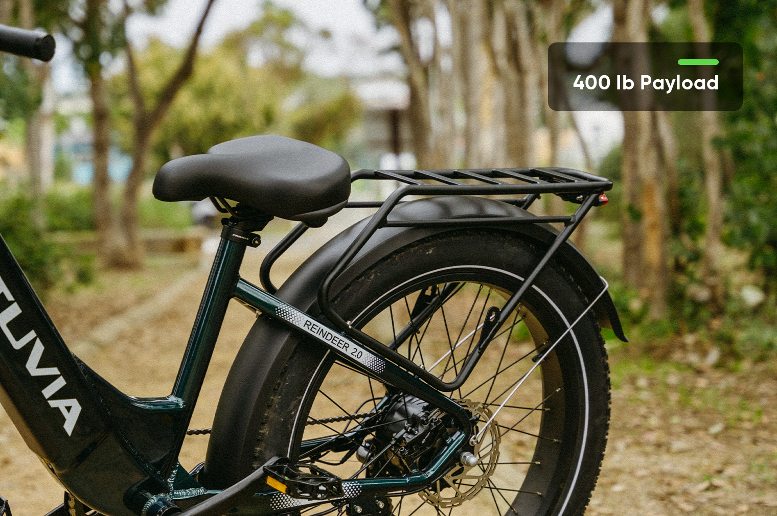 750W Step-Thru Fat Tire Ebike