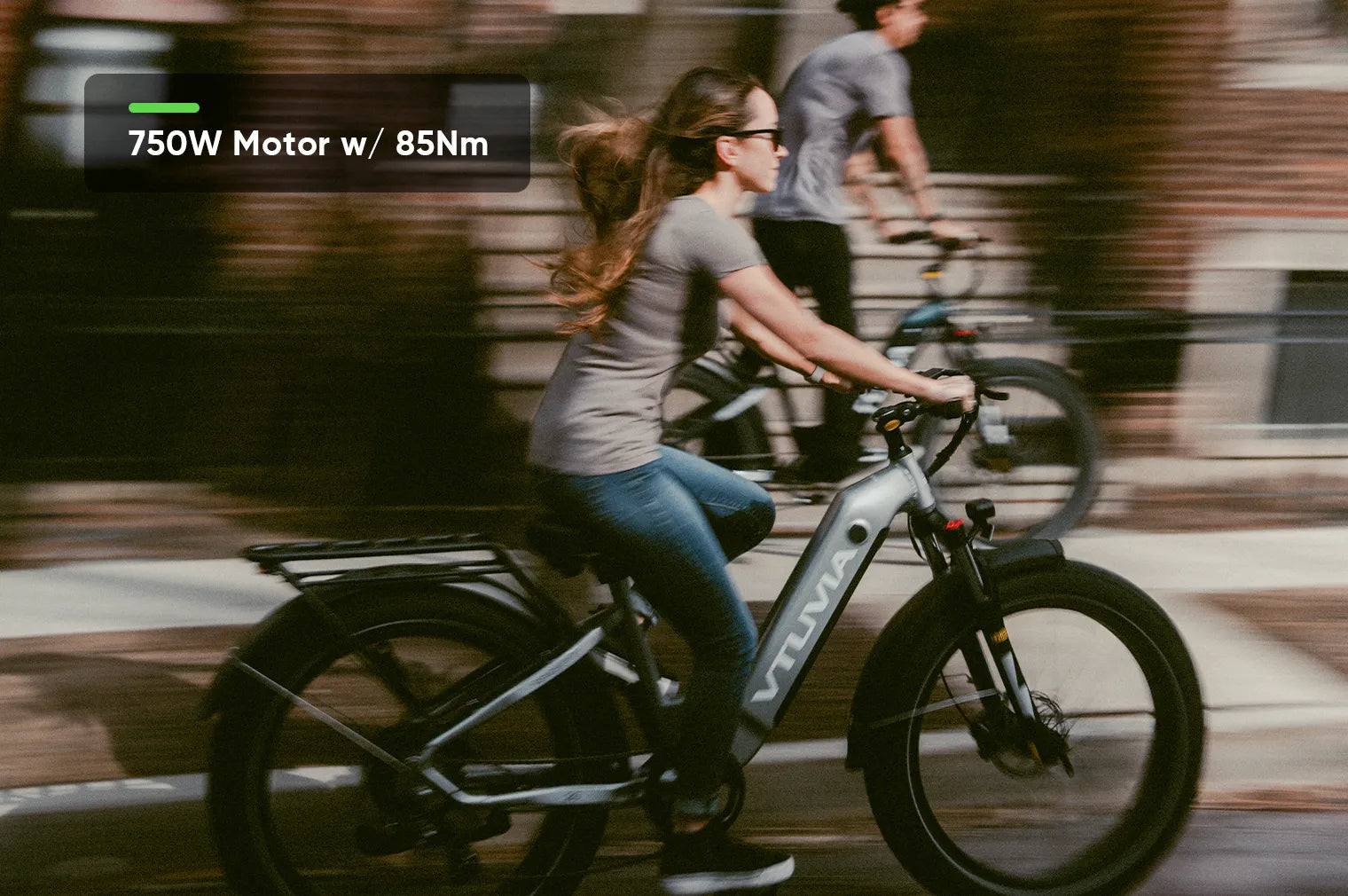 Fat Tire Step-thru 750W Electric Bike | VTUVIA Reindeer