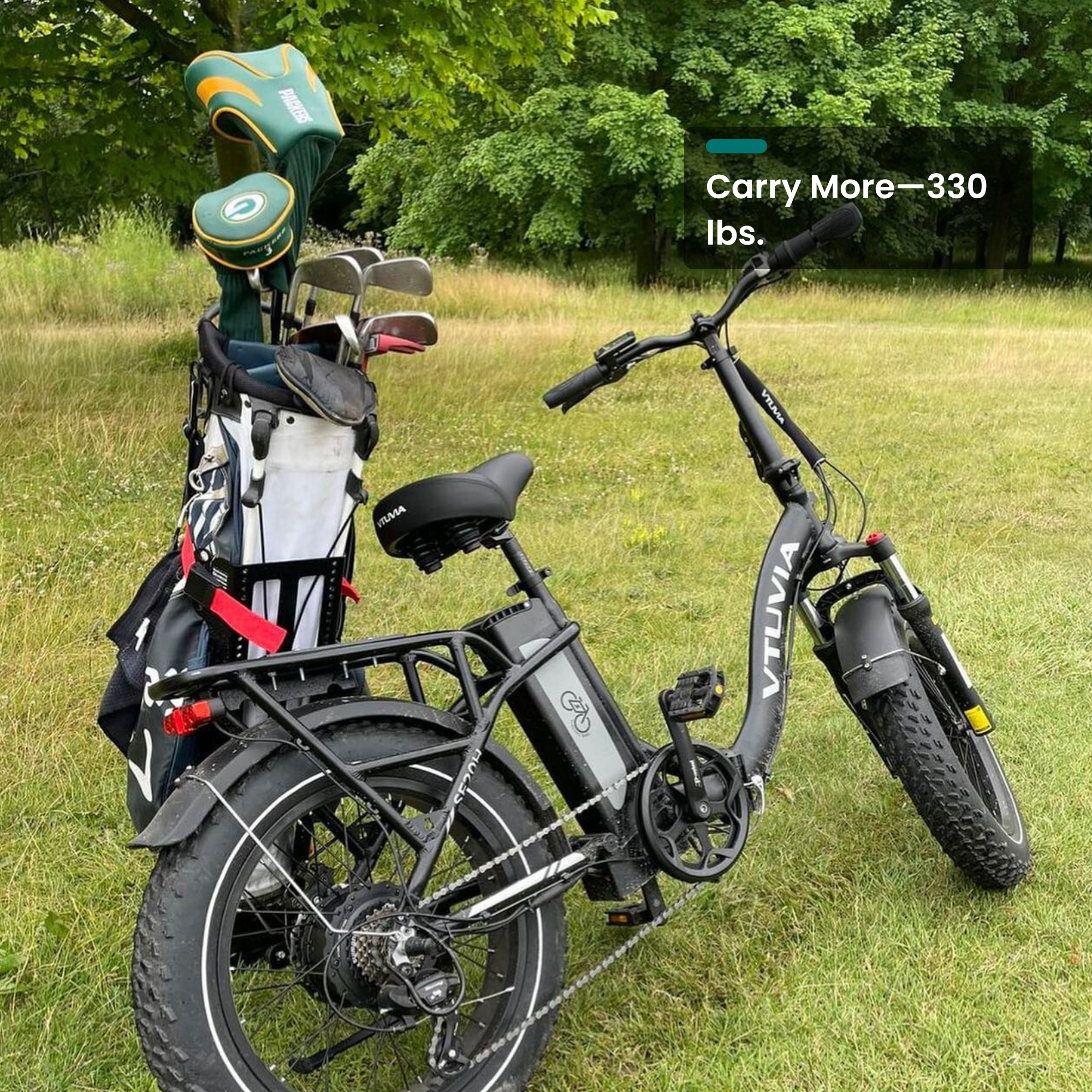 SF20H welded rear rack passenger and pet-friendly cargo e-bike for family trips#color_black