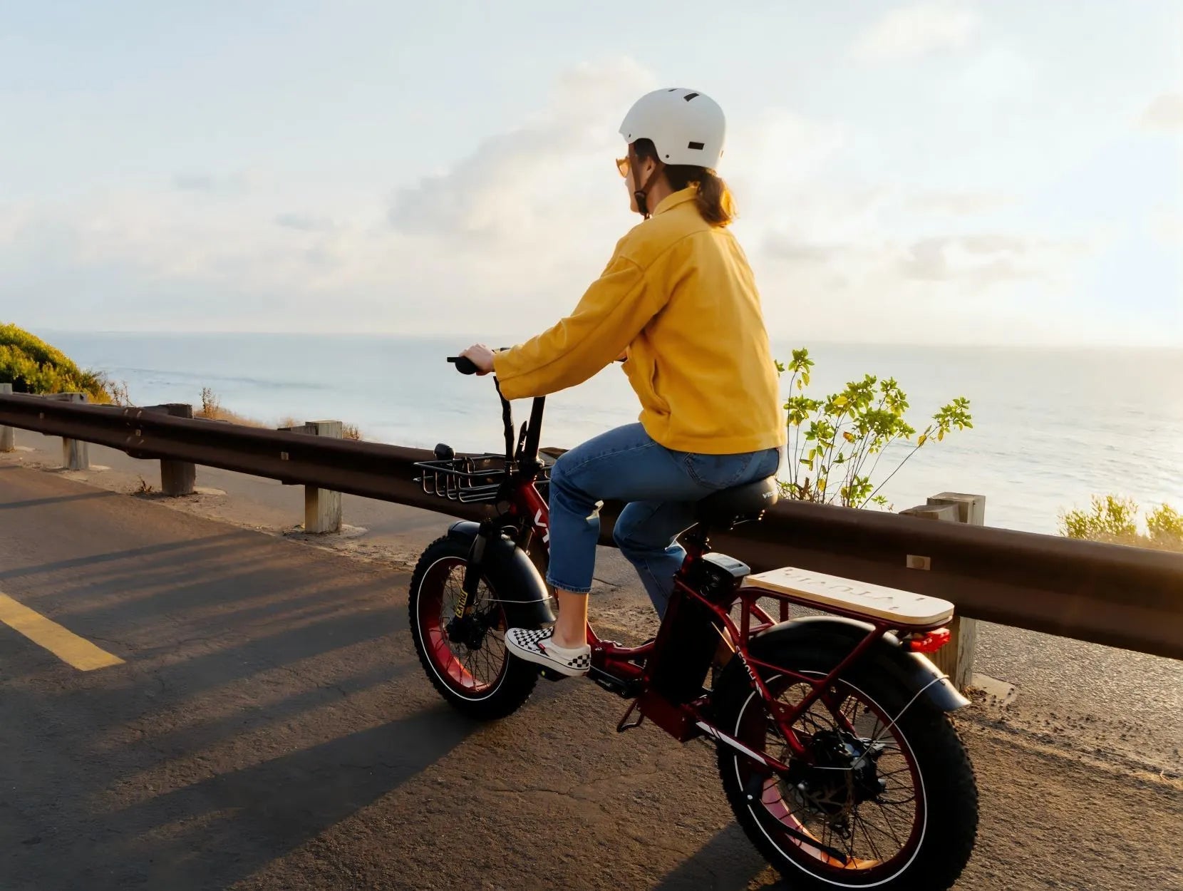 VTUVIA SF20H 20 inch fat tire folding electric bike for all terrains