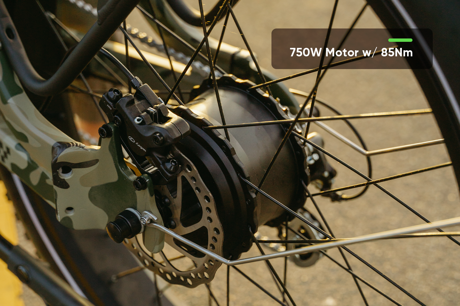 750W Hunting Fat Tire eBike | VTUVIA SN100