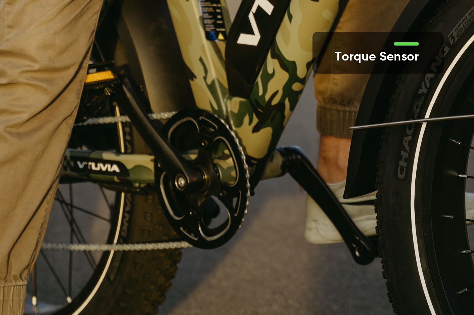 750W Hunting Fat Tire eBike | VTUVIA SN100