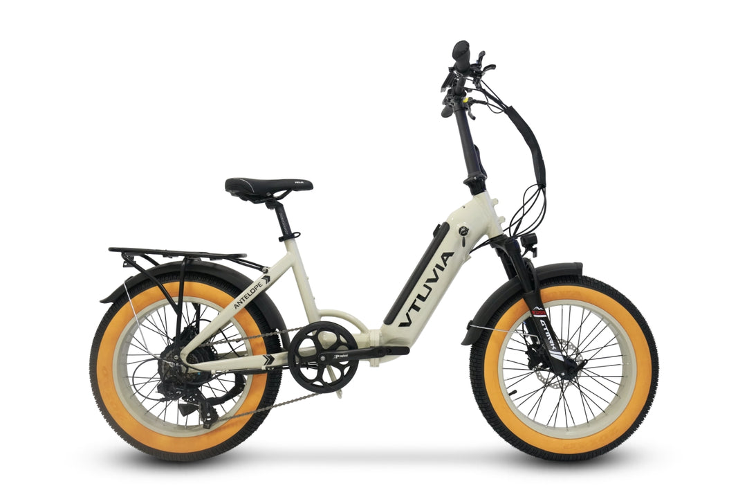 Foldable Electric Bike