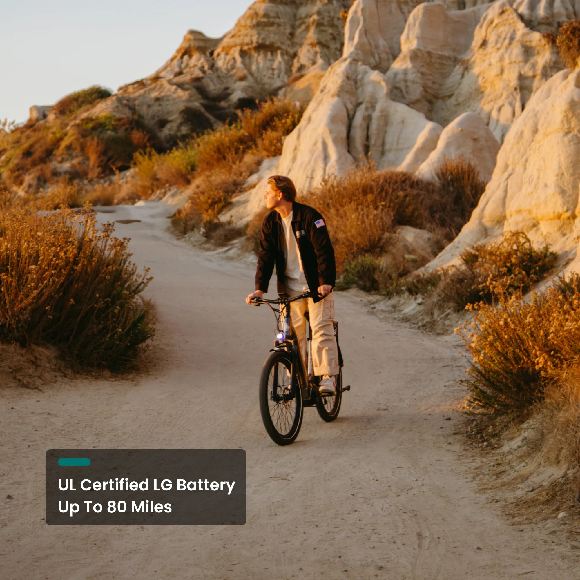 CMB Pro UL certified LG battery long range electric bike #color-metallic-Silver