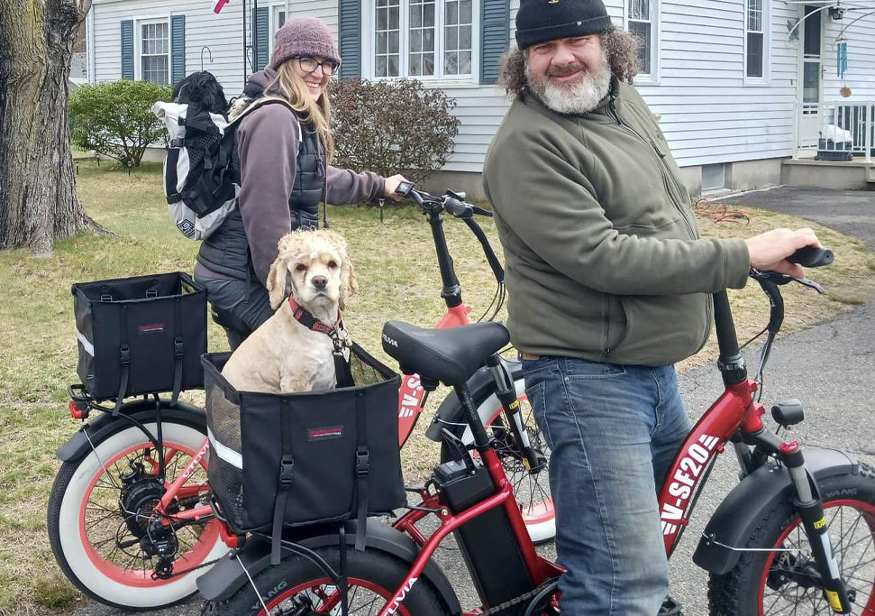 Step-through electric bike VTUVIA SF20H family-friendly with pet or child seat