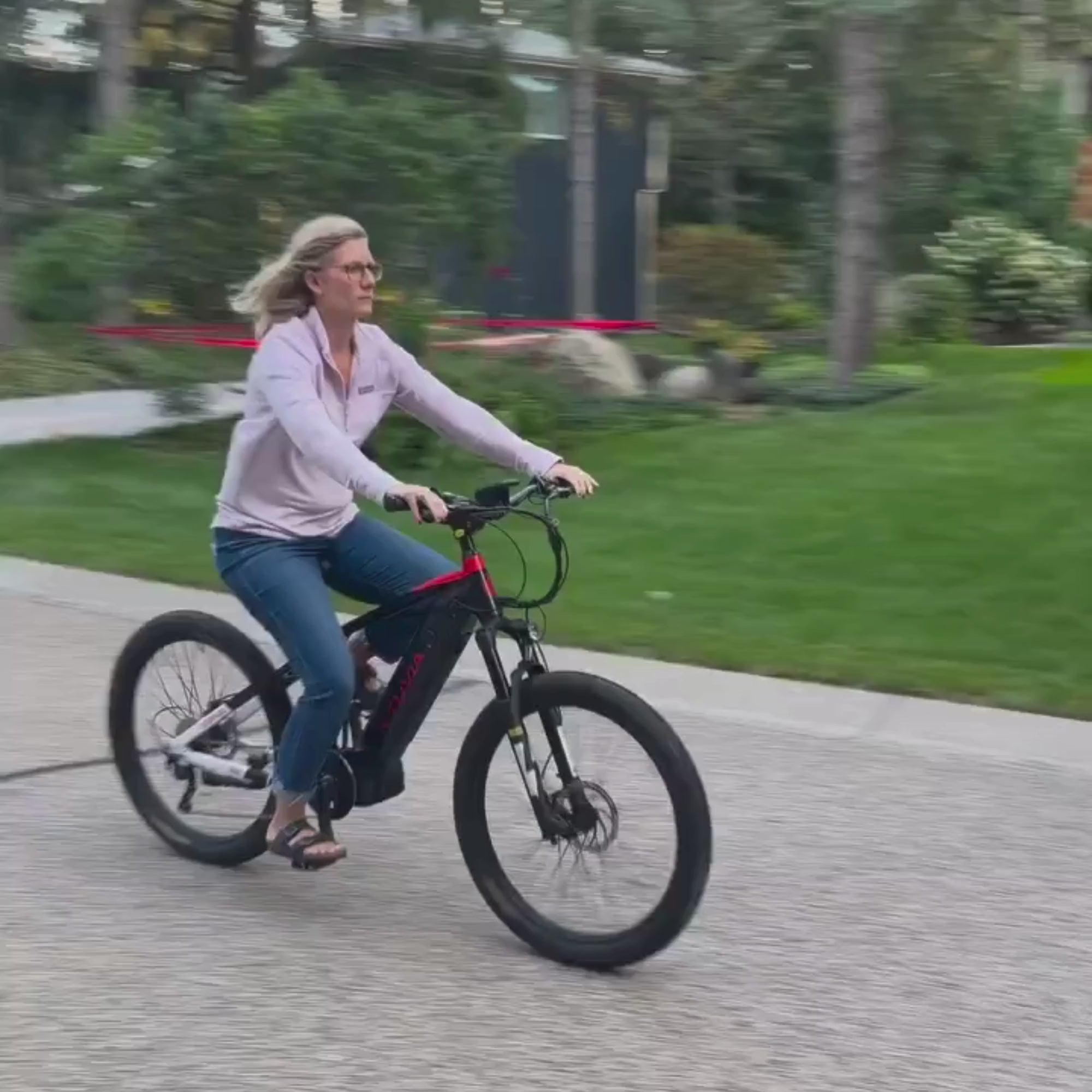 FMB Ebike
