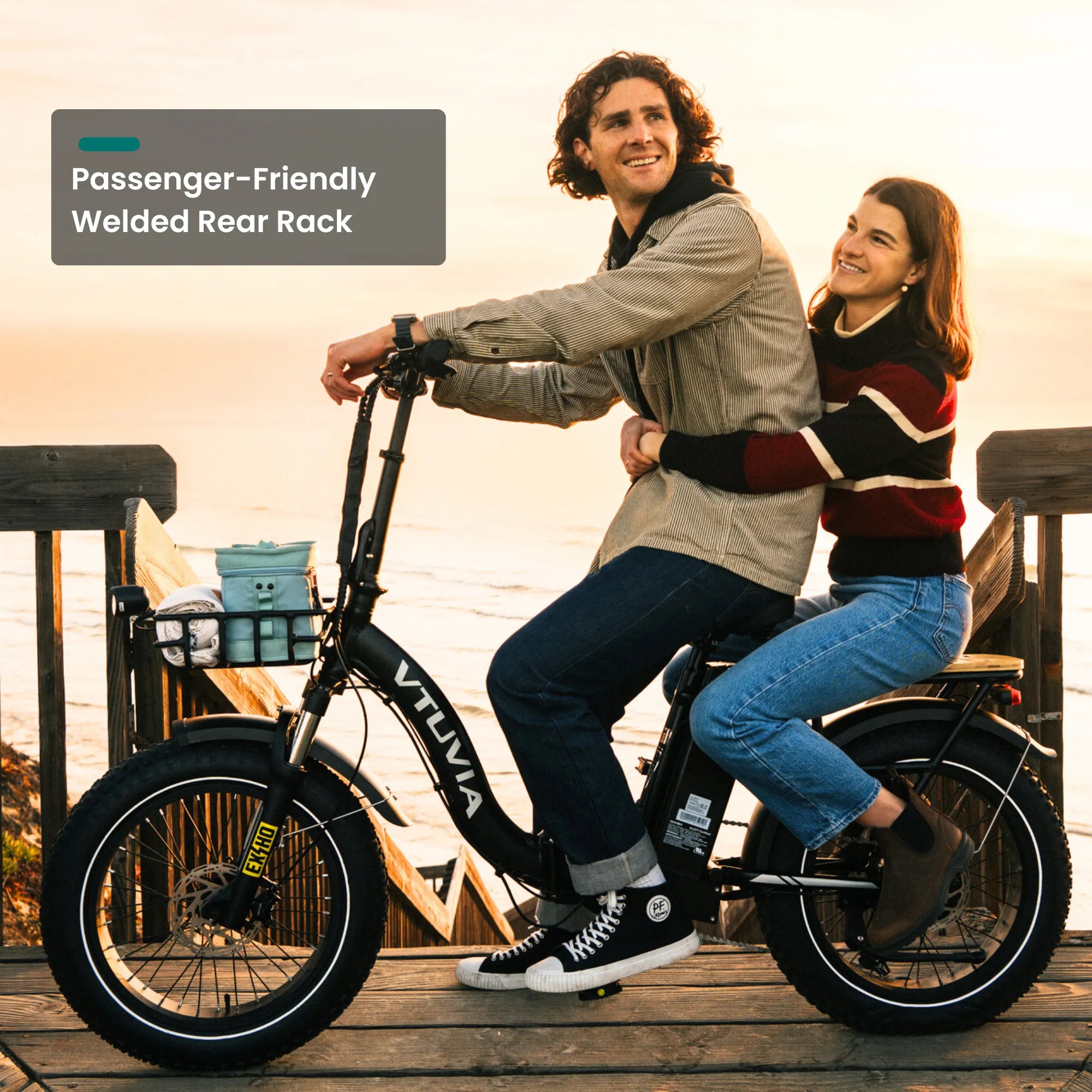 SF20H welded rear rack passenger and pet-friendly cargo e-bike for family trips