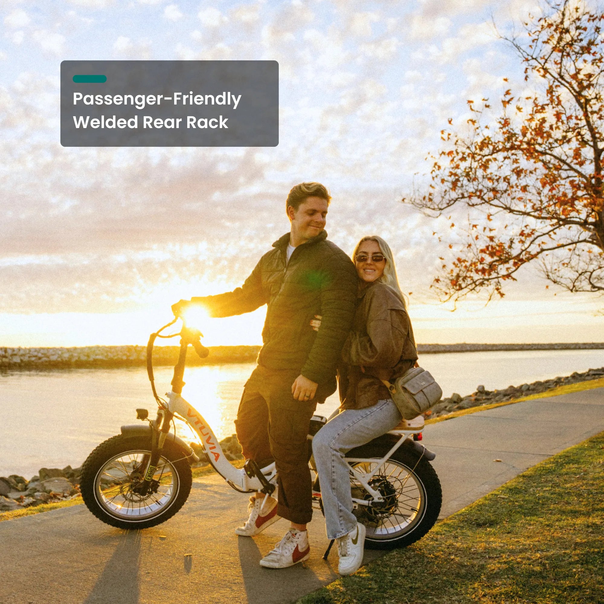 Step Through Electric Bike Cargo ebike 20inch Folding Electric Bikes