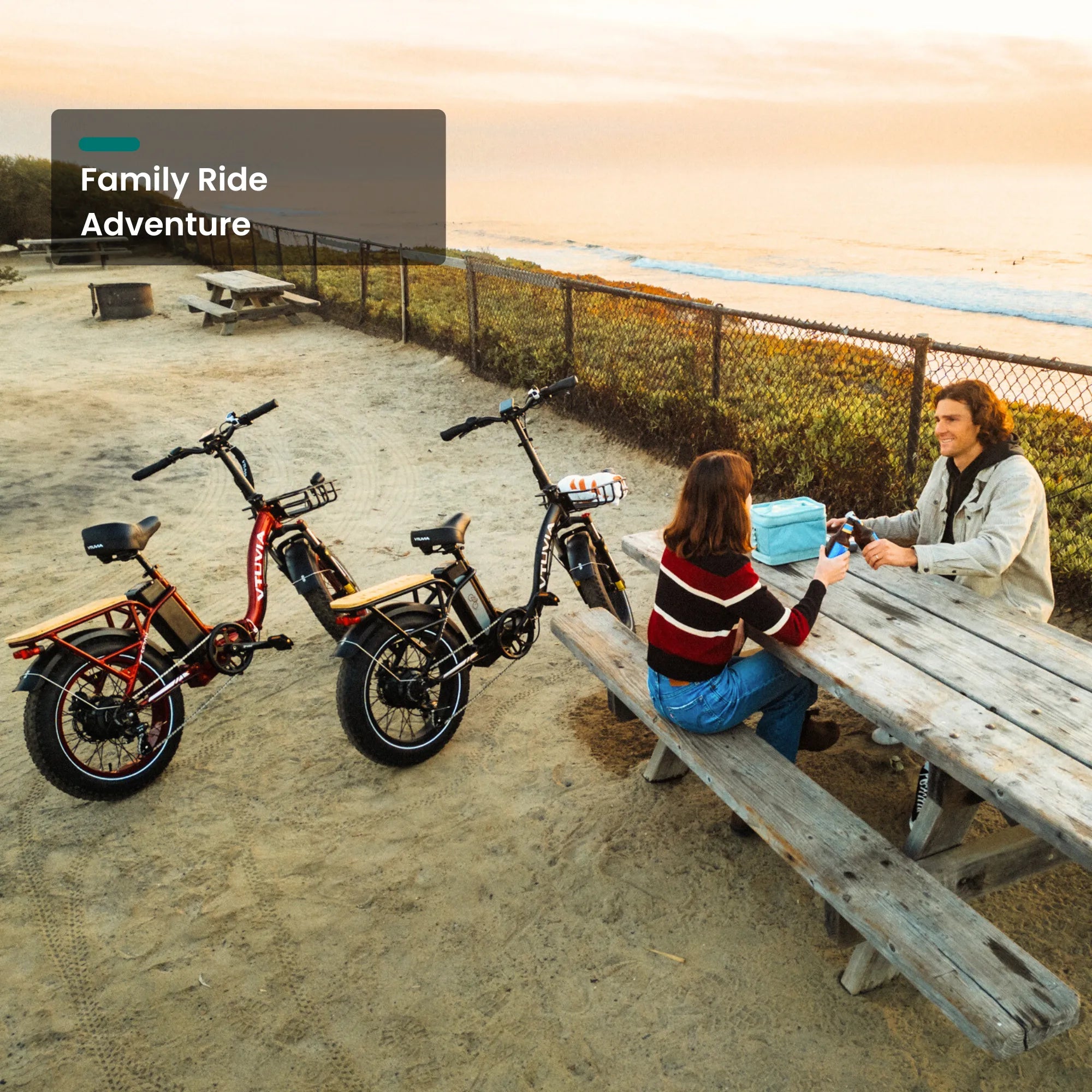 SF20H 750W Folding Electric Bikes for family trips | VTUVIA SF20H E-bike