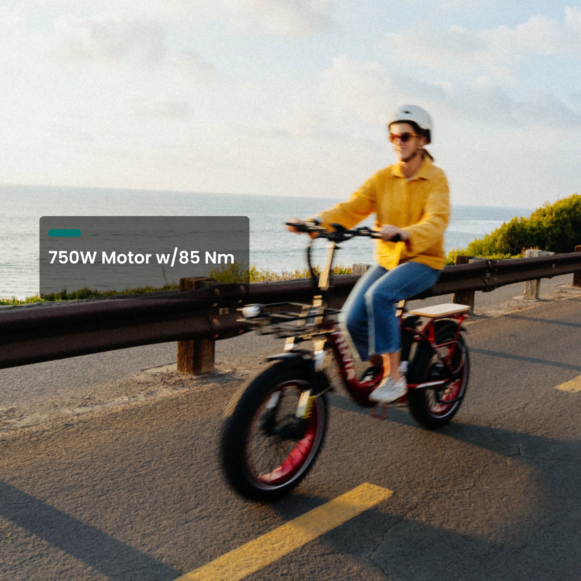 750W Folding Electric Bikes | VTUVIA SF20H E-bike