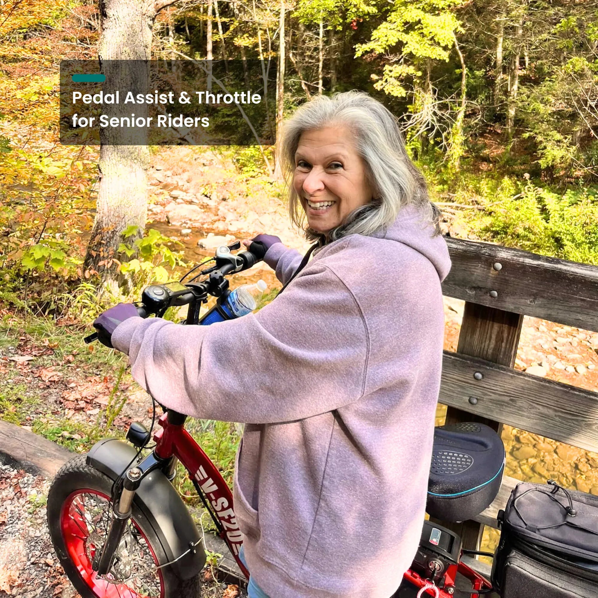 SF20H Step Through Design Ebikes for Seniors | VTUVIA SF20H E-bike