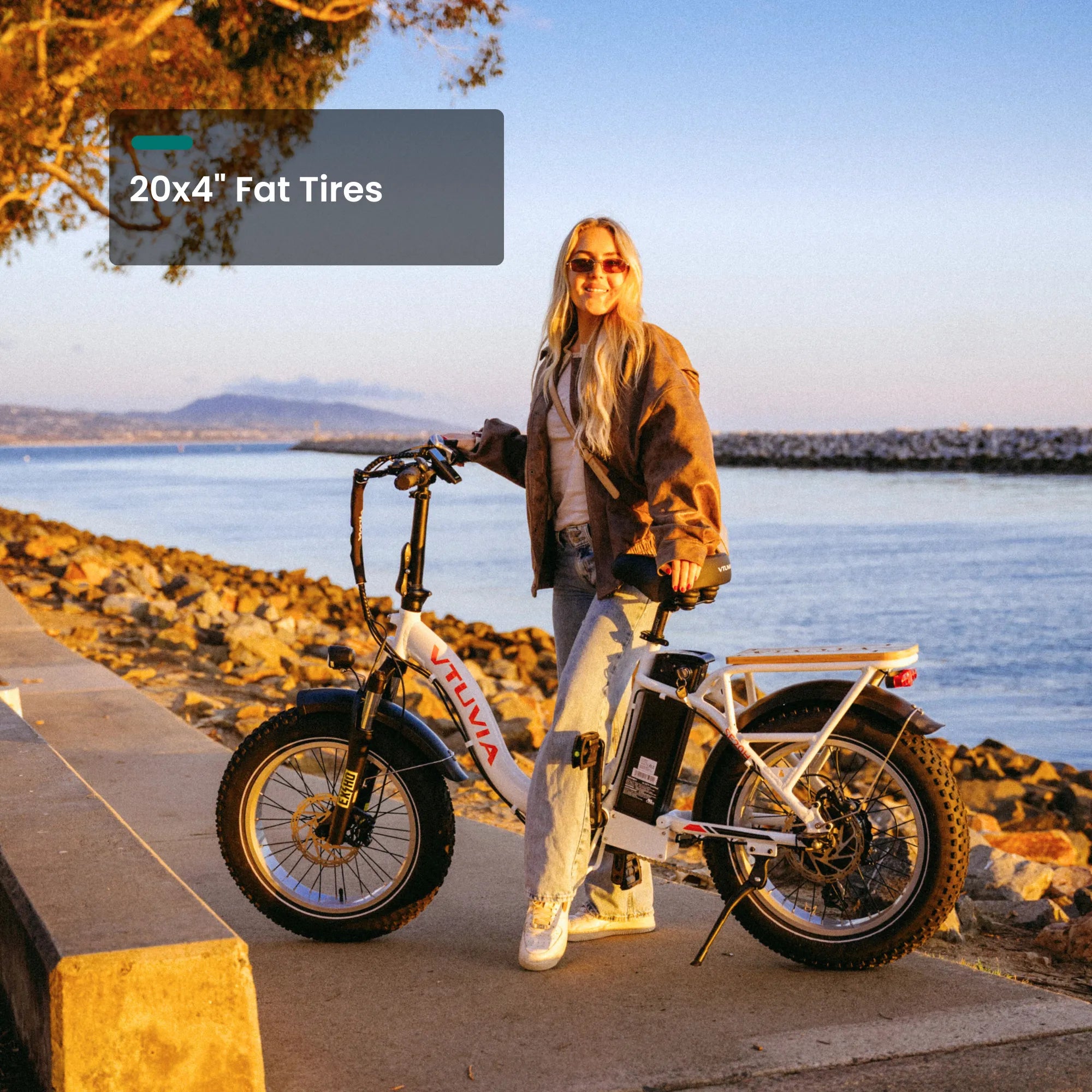 Step Through Electric Bike Folding Fat Tire Electric Bikes Cargo Ebike