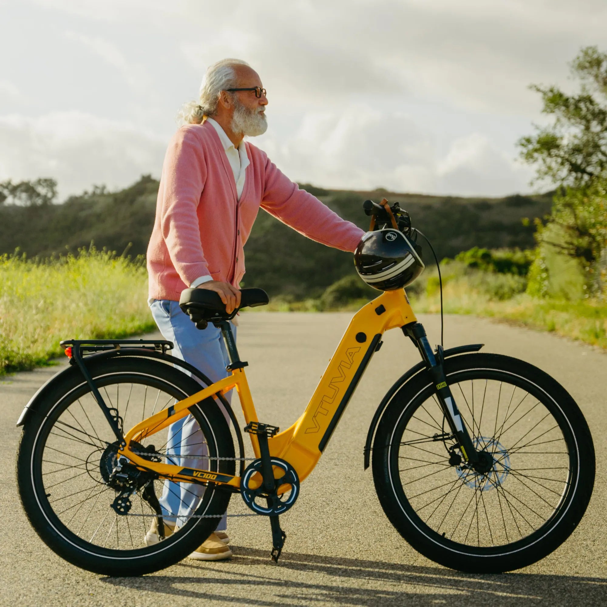 affordable electric bike pedal electric bike VTUVIA Zeal LT7 best step through electric bike commuting