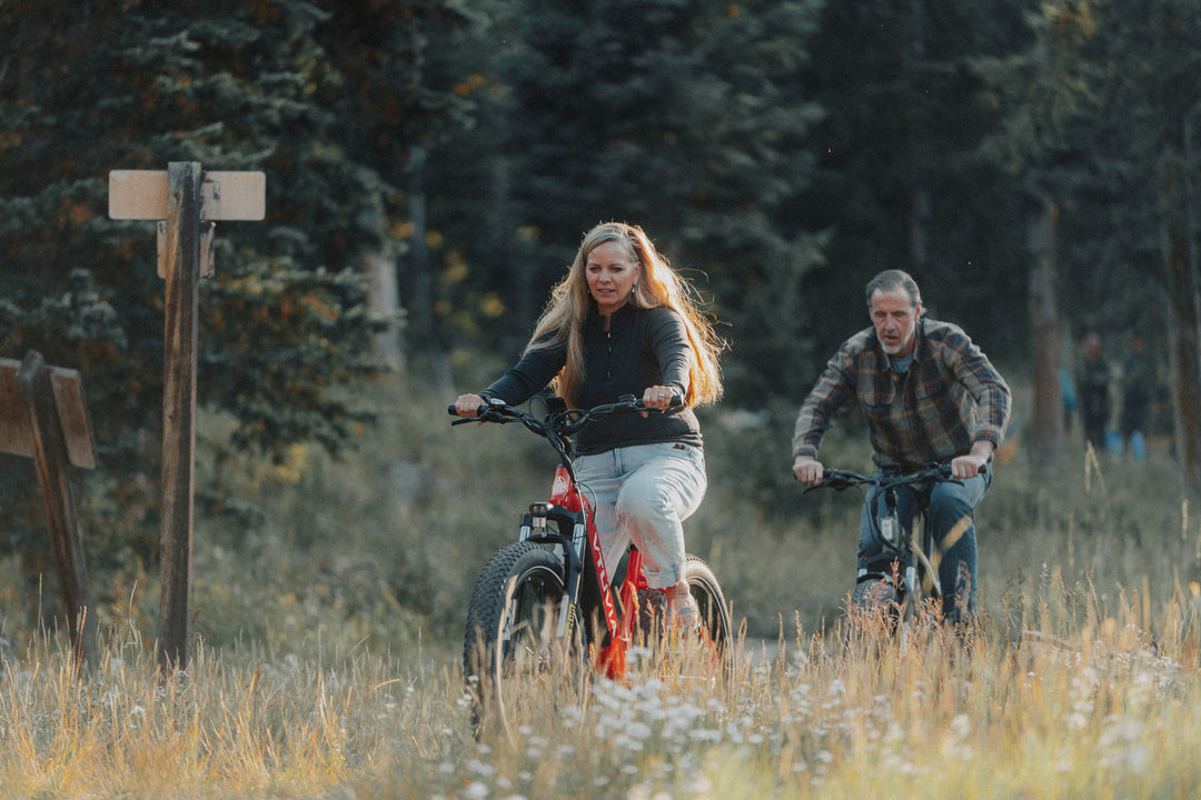 Best Fat Tire Electric Bikes for Adults