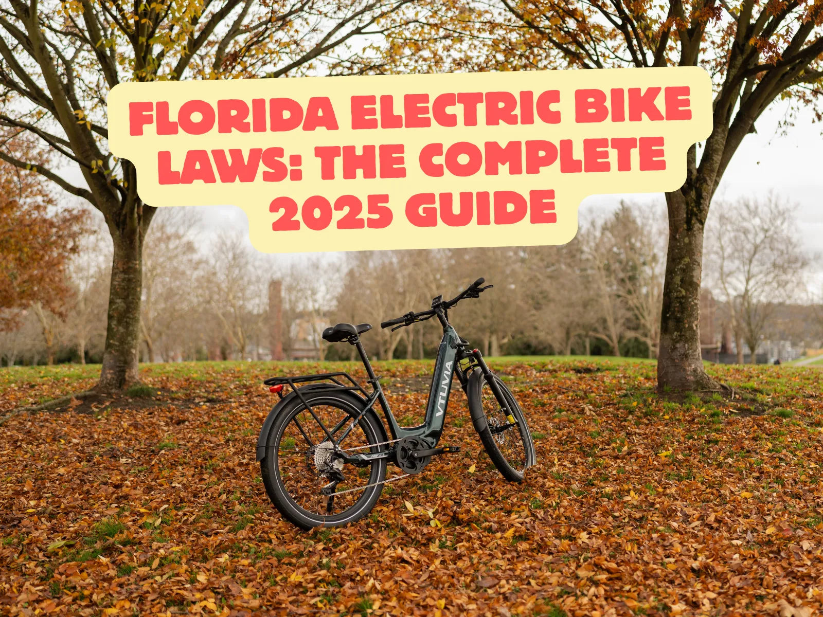 Florida Electric Bike Laws: The Complete 2025 Guide