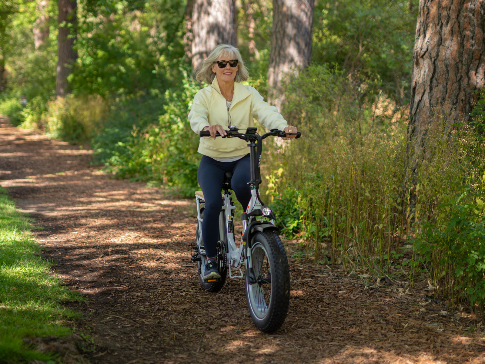 Electric Bike For Seniors | VTUVIA SF20H