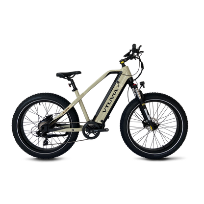 1000W Long Range Electric Bikes | VTUVIA Gemini  