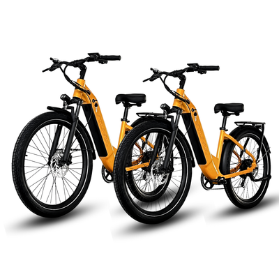 Electric Commuter Bike |Step Through Electric Bike Combo | Electric Crusier Bike