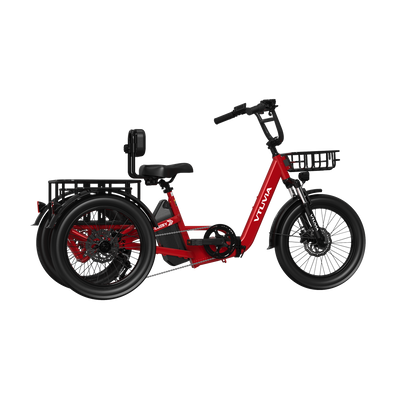 VTUVIA E-Cozy Electric Trike