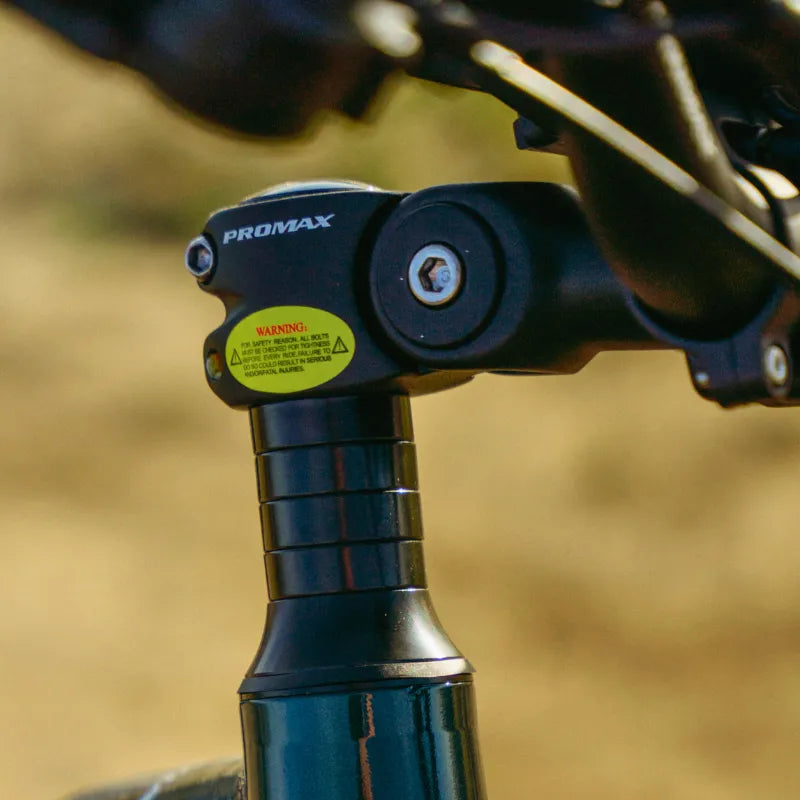 Adjustable handlebar on Reindeer 2.0 ebike