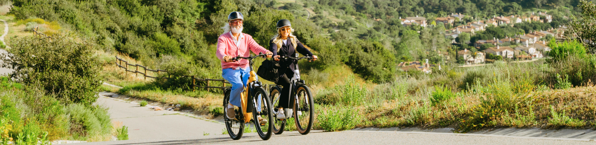 Electric Bikes