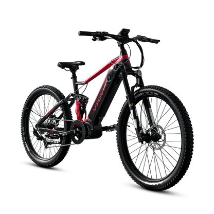 FMB Ebike
