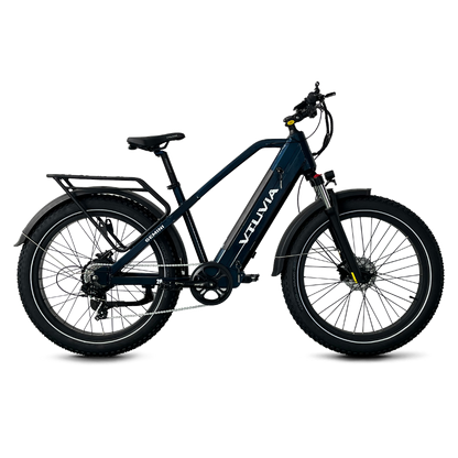 1000W Long Range Electric Bikes | VTUVIA Gemini  