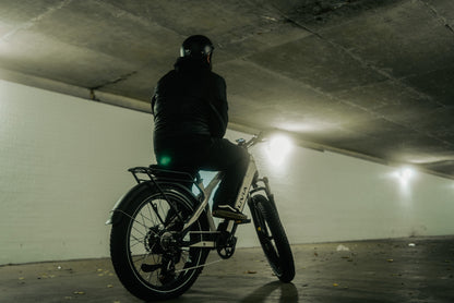 1000W Long Range Electric Bikes | VTUVIA Gemini  