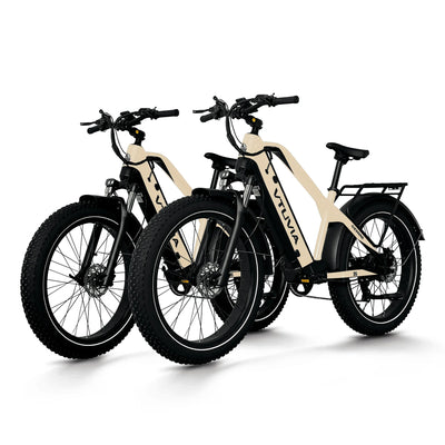 VTUVIA Gemini 1000W - Combo