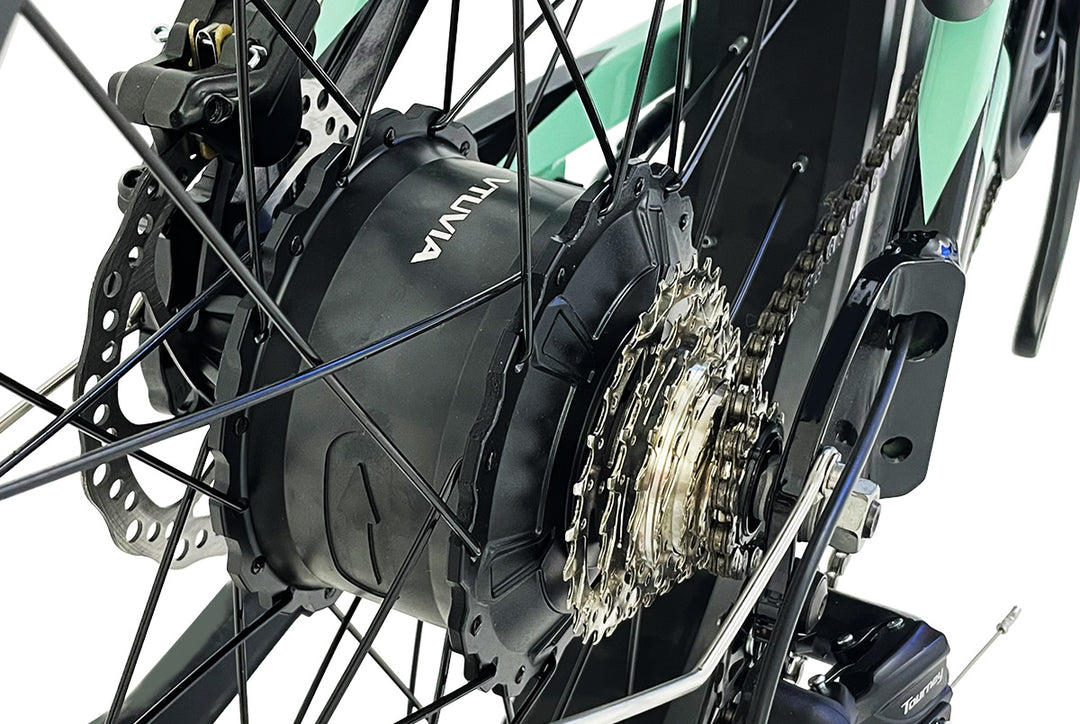 Gemini 26 Inch Fat Tire Electric Bike