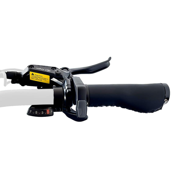 Reindeer Step Through Fat Tire Electric Bike Hydraulic Brake