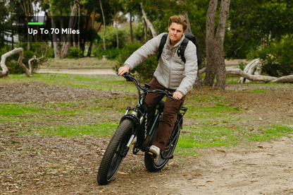 750W Step-Thru Fat Tire Ebike 