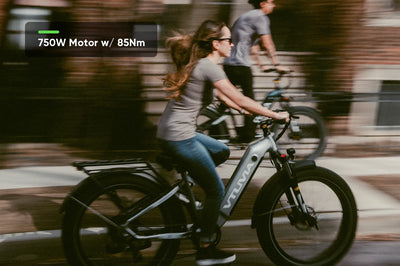 Fat Tire Step-thru 750W Electric Bike | VTUVIA Reindeer 