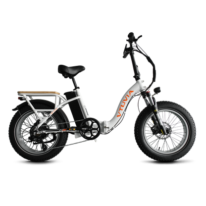 Folding Electric Cargo Bikes | VTUVIA SF20H E-bike