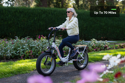 20inch Folding Electric Bikes 