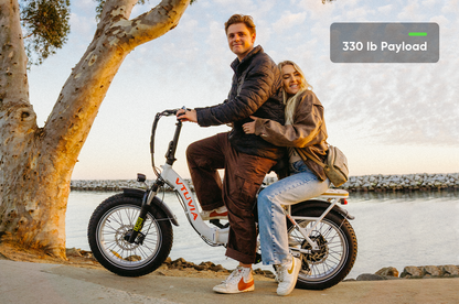 20inch Folding Electric Bikes 