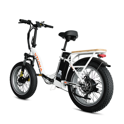 Folding Electric Cargo Bikes | VTUVIA SF20H E-bike