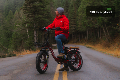 750W Folding Electric Bikes | VTUVIA SF20H E-bike