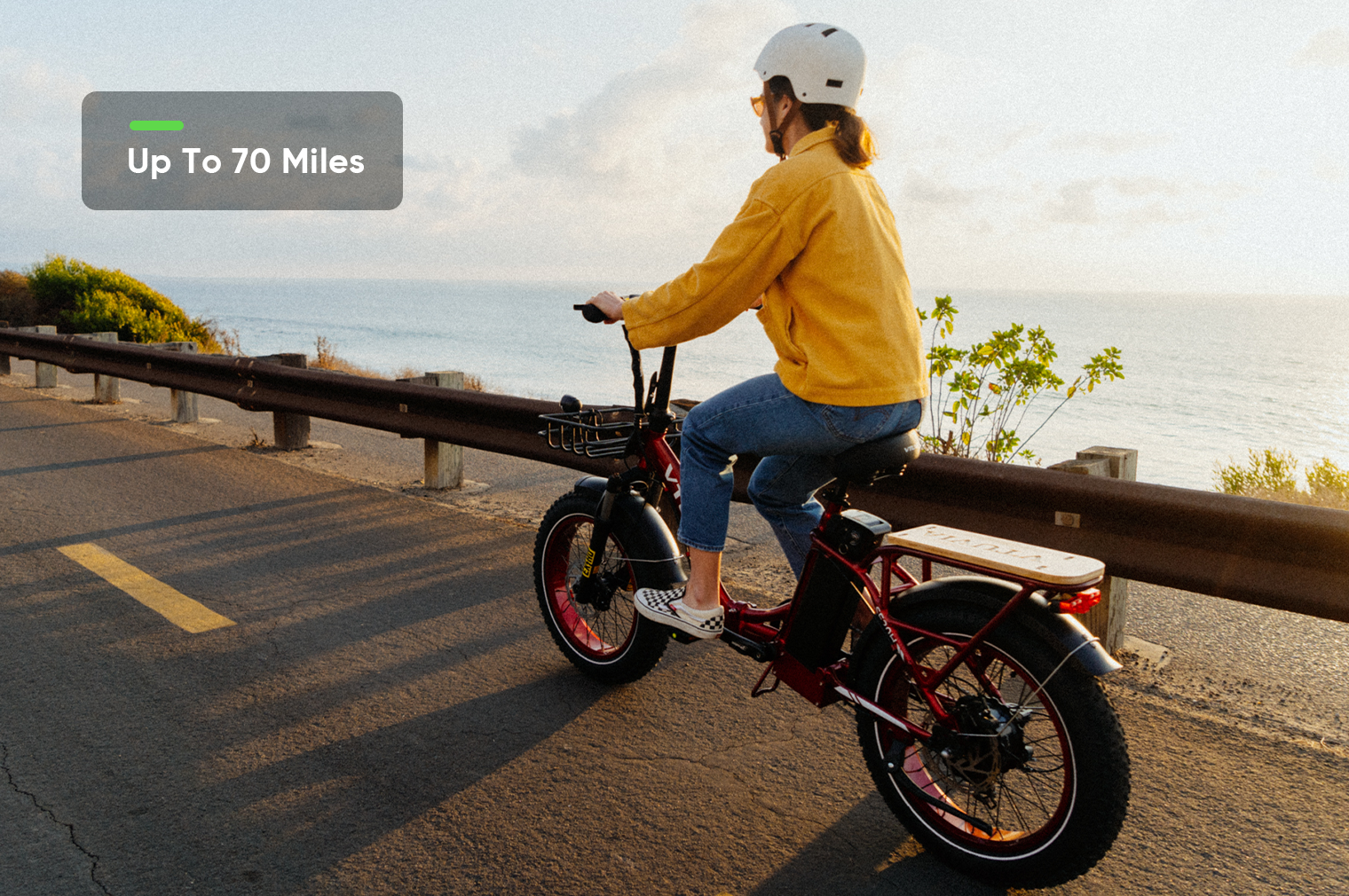 750W Folding Electric Bikes | VTUVIA SF20H E-bike