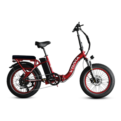 Folding Electric Cargo Bikes | VTUVIA SF20H E-bike