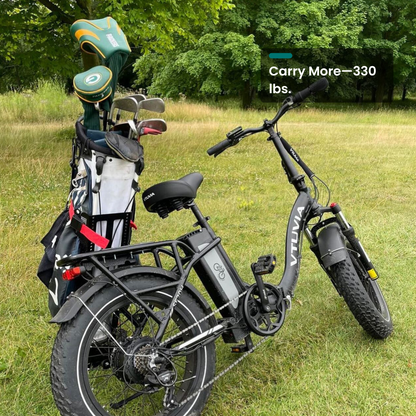 SF20H welded rear rack passenger and pet-friendly cargo e-bike for family trips