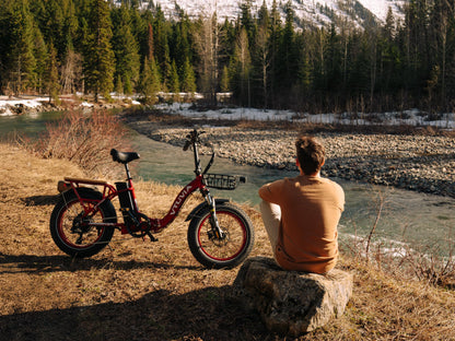 750W Folding Electric Bikes | VTUVIA SF20H E-bike