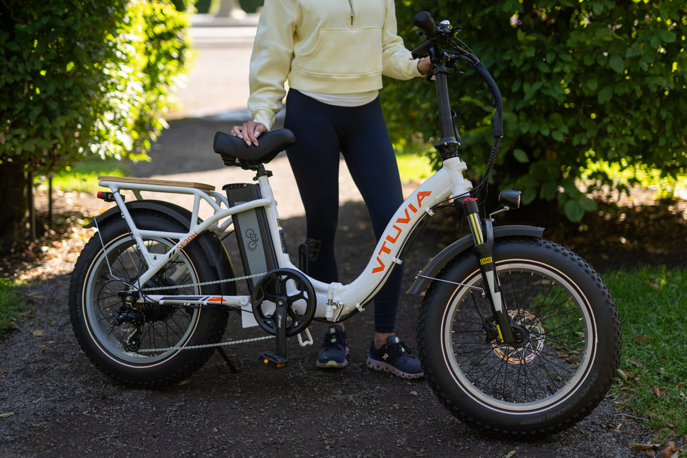 SF20H Folding Cargo Electric Bikes | VTUVIA E-bike