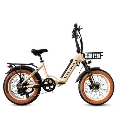 Foldable Electric Bike