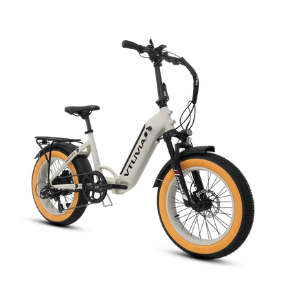 Foldable Electric Bike