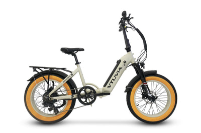 Foldable Electric Bike